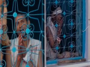kutte ko
