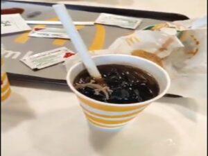 Lizard found in cold drink