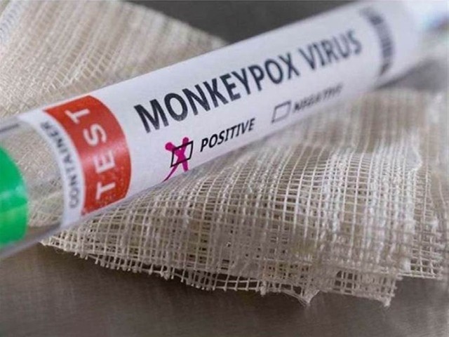 monkeyp