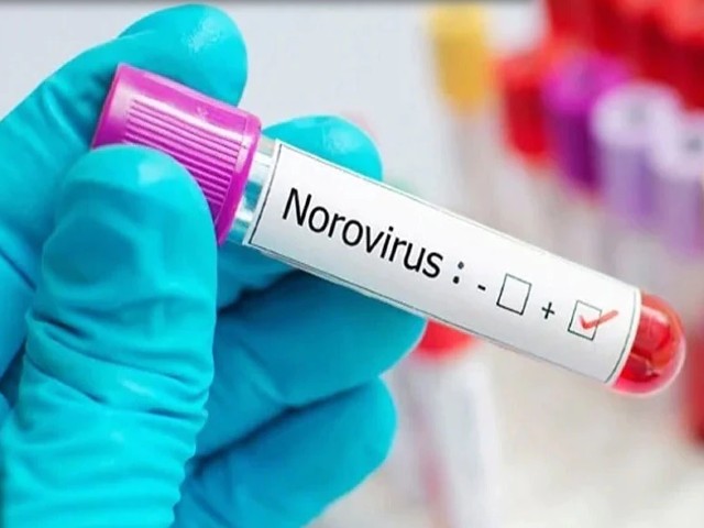 norovirus
