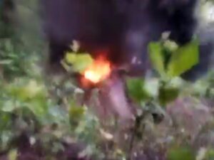 LIVE VIDEO of Bomb Diffuse