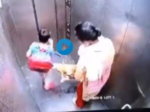 lift me bachhe ko kutte ne