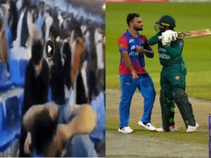 pak vs afg fight