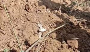 chhattisgarh-crime_1673435872