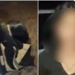 4432718-surguja-teacher-caught-with-students~2